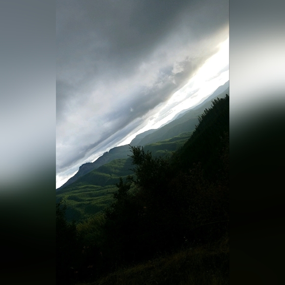 Meet your Posher, Cadence - Picture 11 of 16